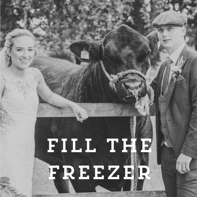Fill The Freezer